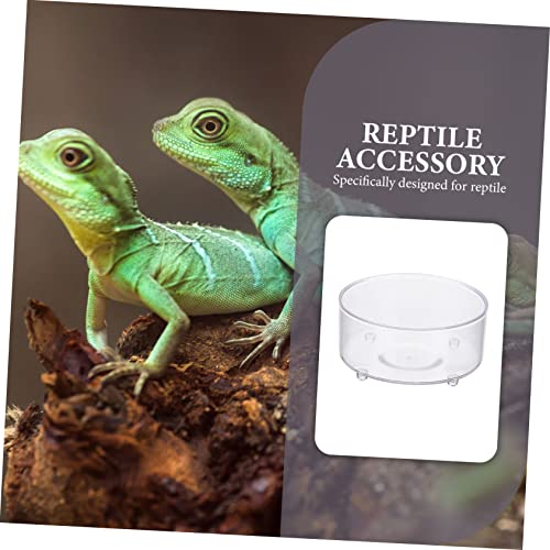 Gobelet transparent pour reptiles Yardwe antirenversement - 5