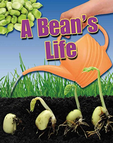 A Bean's Life (Crabtree Connections Level 1 - Below-Average)