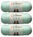 Bulk Buy: Caron Simply Soft Yarn Solids (3-Pack) Soft Green H97003-9739