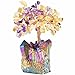 mookaitedecor Citrine & Amethyst Crystal Tree, Quartz Cluster Rainbow Titanium Crystals Base Bonsai Money Tree for Wealth and Luck