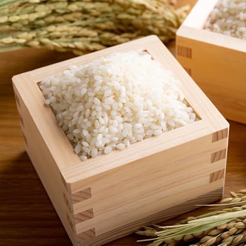 内容量を選べる 令和7年産 鹿島市産 [さがびより or 夢しずく] 1kg 2kg 3kg 5kg 10kg 30kg 1袋 [品種指定不可] 精米 白米 (1kg)