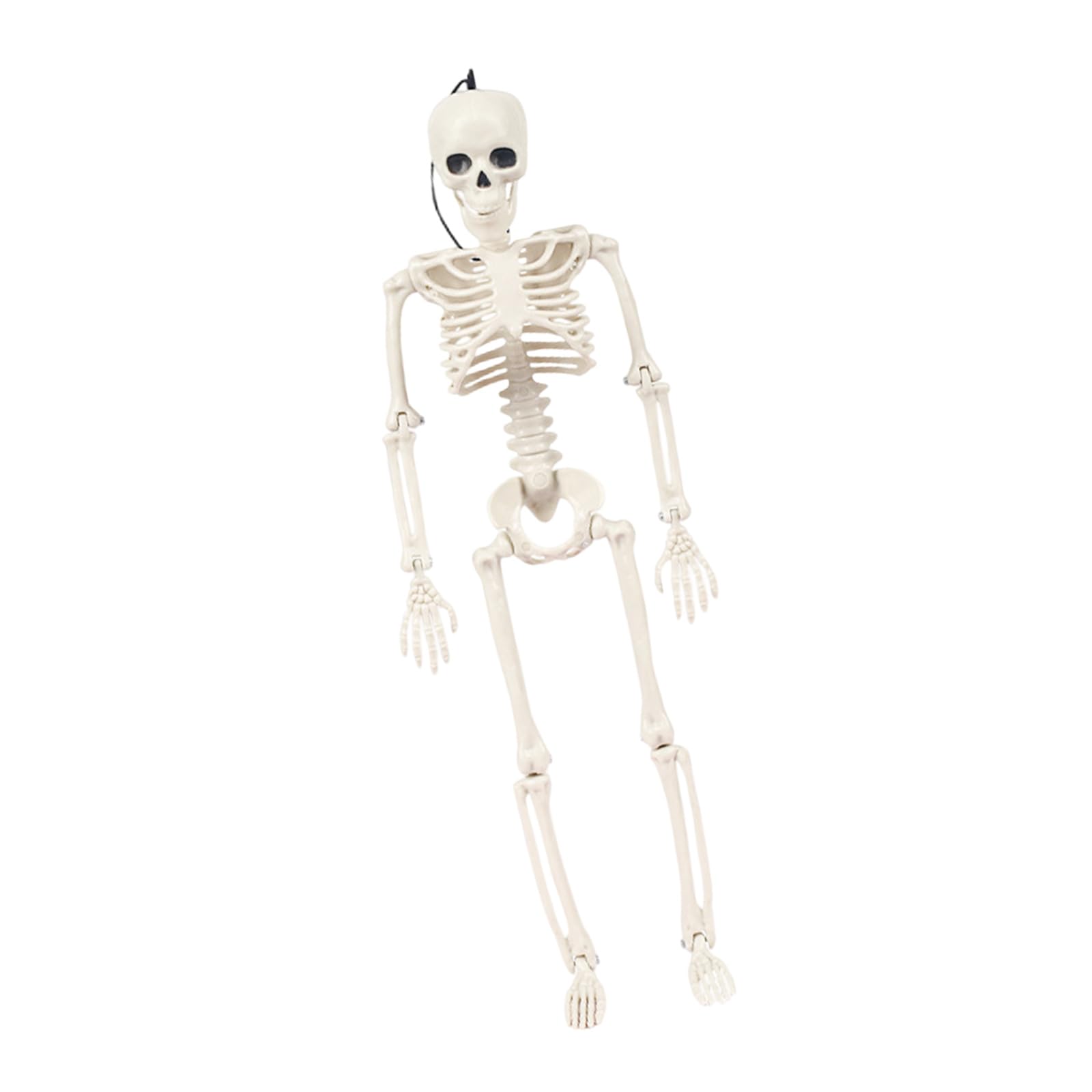 Tsophreniq Scary Halloween Skeleton Decoration Realistic Skeleton Bone with Movable Joint for Indoor and Outdoor Decoration Halloween Framework
