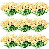 Jexine 100 Pcs Artificial Real Touch Tulips Fake Artificial Tulip Flower Bulk Bouquet with Stem for Table Centerpieces Wedding Bridal Easter Mother's Day Garden Home Decor, 13.4''(Light Champagne)