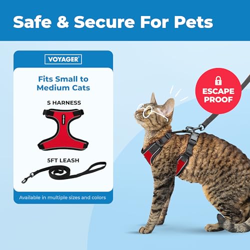 Image of Voyager Escape-Proof Step-in Lock Cat Harness & 5ft Neoprene-Handle Leash Set All-Weather Mesh with Reflective Stitching for Small to Large Cats by Best Pet Supplies, Black Trim-Red (327), S