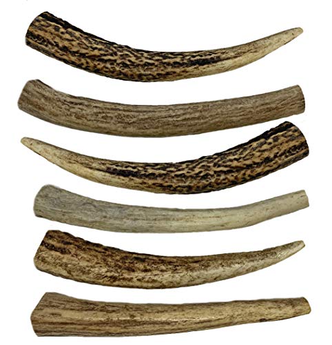 WhiteTail Naturals 6 Pack- Small 4"-5" All Natural Deer Antler Dog Chews