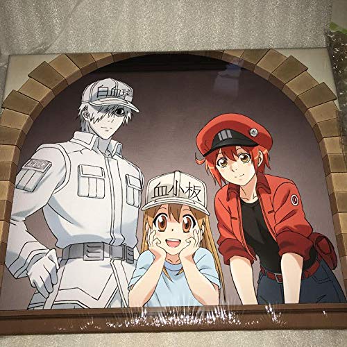 【DVD美品】はたらく細胞 一期 全巻セット はたらく細胞DVD全7