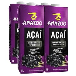 Amazoo Açaí Tradicional