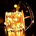 MythGeek 33ft 10-Meter 100leds Copper Wire LED Starry Novelty String Lights , AA Battery Powered LED Decor Rope Flexible lights for Seasonal Decorative Christmas Holiday Wedding Home Party (Warm White)