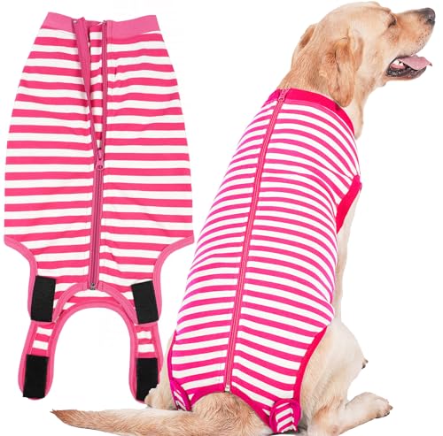 How long is recovery after dog gets spayed