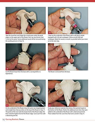 Carving Realistic Flowers, Revised Edition: Morning Glory, Hibiscus, Rose: Ready-to-Use Patterns, Step-by-Step Projects, Reference Photos (Fox Chapel Publishing) - Image 6