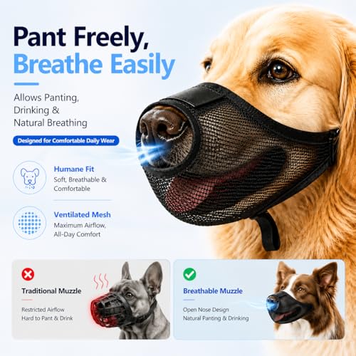 Image of Dog Muzzle, G-Mesh-Black-L-2026705AASASDSDSDSDVVVV