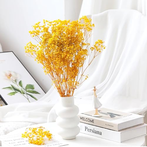 Dried Baby's Breath Flowers Bouquet Natural Dried Flowers Baby's Breath Real Gypsophila Branches for Wedding Table Vase Party Garden DIY Wreath Floral Home Decor(Yellow) - Image 3