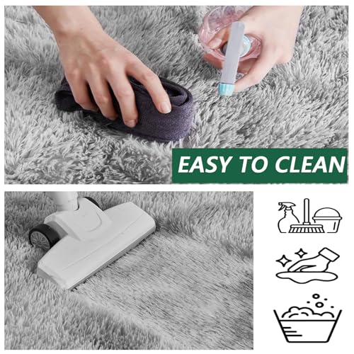 Tapis de Salon Gris Clair 220x310 cm Lavable en Machine et Super Doux
