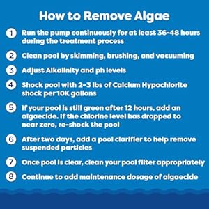 Intheswimalgaecide60plusforswimmingpoolsnonmetalliclowodornonfoamingalgaebloompreventativechlorinesanitizercompatible1gallon Urban Country Home Decor In the swim algaecide 60 plus for swimming pools non metallic low odor non foaming algae bloom preventative chlorine sanitizer compatible 1 gallon urban country home decor