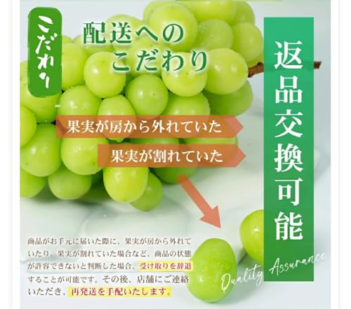 FRUITS PARK シャインマスカット の商品画像 6