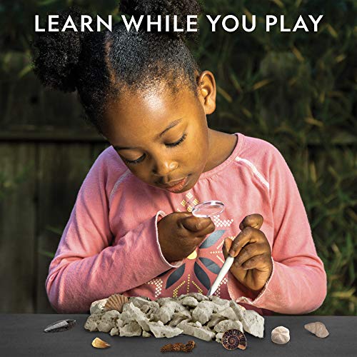 NATIONAL GEOGRAPHIC Mega Fossil Dig Kit - Excavate 15 Prehistoric Fossils Including Dinosaur Bones & Shark Teeth… - Image 5