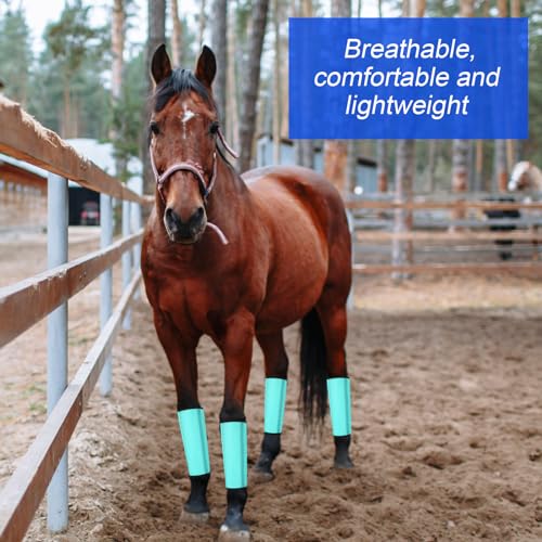 Image of Set of 12 Mesh Fly Boots for Horse Breathable Mesh Horse Boots Protective Horse Leg Loose Wraps Horse Leggings for Preventing Flies and Mosquitoes Bites