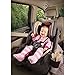 Graco Milestone All-in-One Car Seat, Group 0+/1/2/3, Aluminium