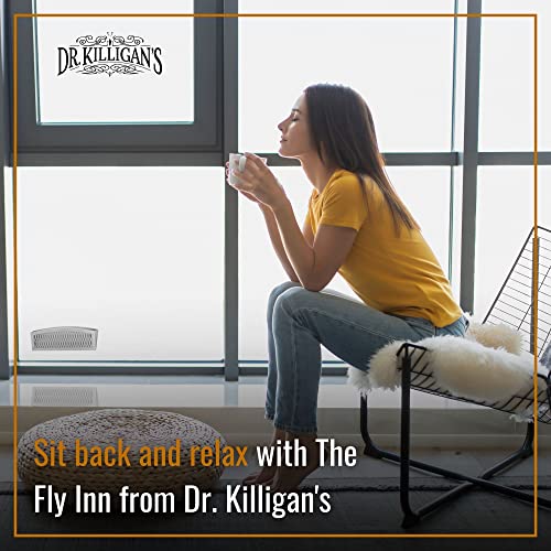 Dr. Killigan's The Fly Inn | Window Fly Traps | Sticky Fly Strip | Indoor Insect Trap | Catches And Hides Bugs | Better Than Fly Paper Or Ribbon | Get Rid Of Flies | (2+4, Gray) #TOP5