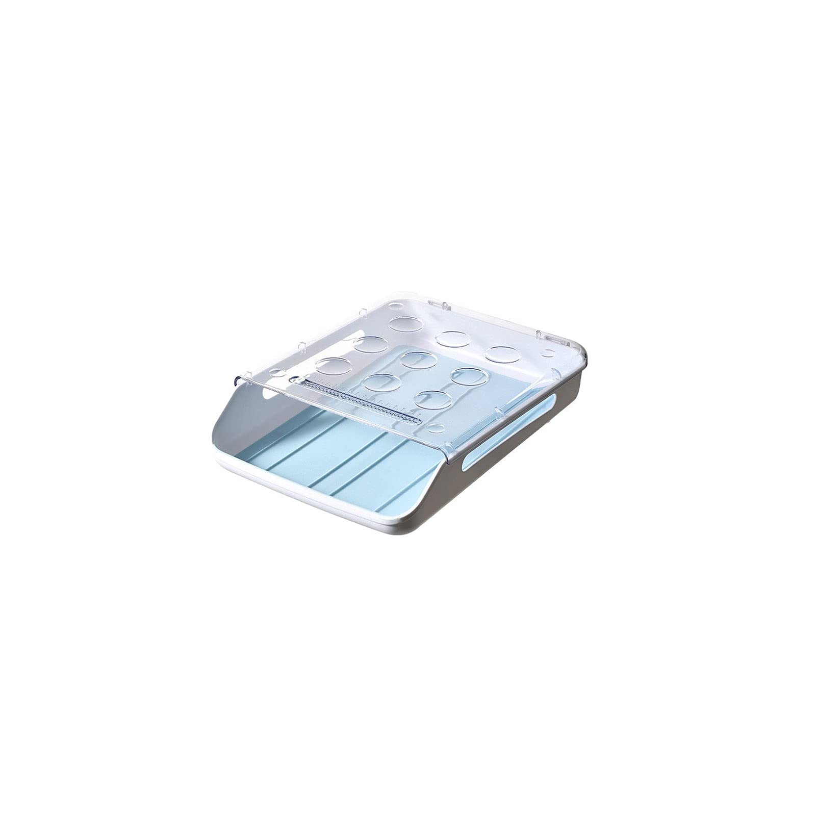 Boîte de Rangement, Boîte de Rangement Alimentaire Réfrigérateur Plateau à Oeufs Conteneur avec Couvercle Multifonctionnel Bac à Oeufs Accessoires de Cuisine (Bleu)