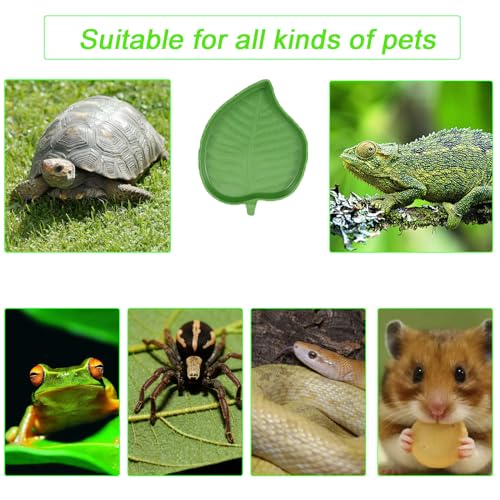 3PCS Tortoise Food Dish with Ramp Leaf Tortoise Food Water Bowls Reptile Food Water Bowls Amphibians Habitat Accessories for Horned Frogs Lizards Fit for Bath - Thumbnail 6