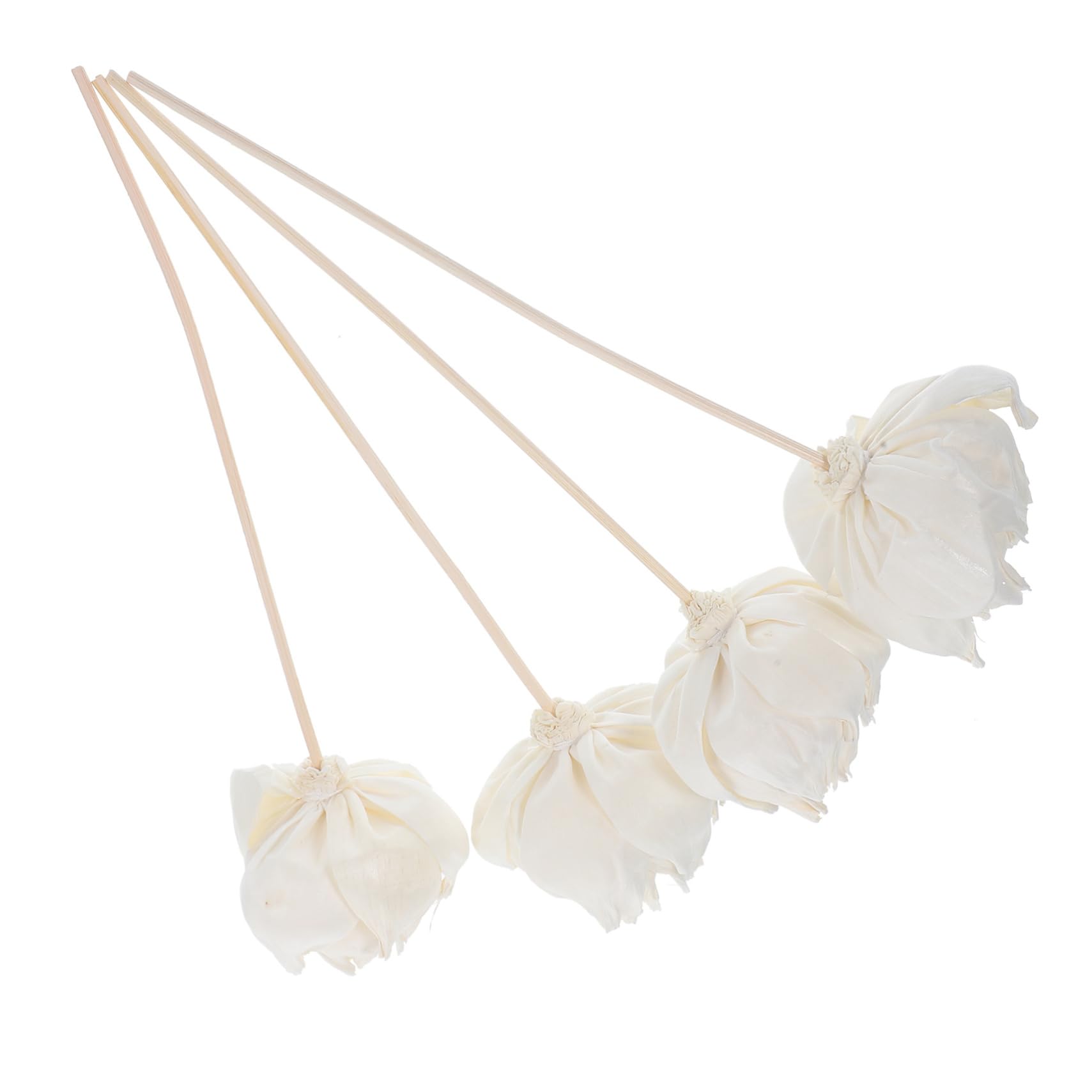 Alipis 20pezzi Diffusore Con Fiori Secchi Naturali Elegante Decorazione Per Ambienti Per Casa e Bagno