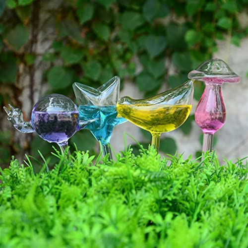 Diffuseur d'eau automatique plante intérieur en verre décoratif - 4