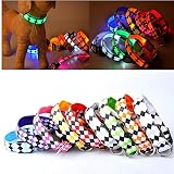 El collar de perro hecha de nylon, plástico y LED, robusto durable y resistente al desgaste.
