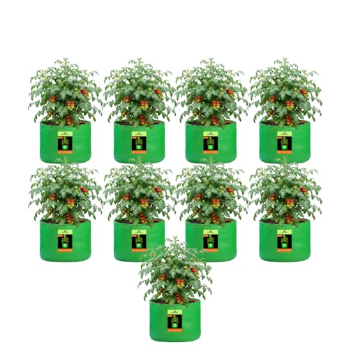 Image of Kingwell Grow Bag 18 X 15 INCH, PACK OF 9 For Terrace Garden Leafy Vegetable Plant Grow Bags Fruits Growing Containers For terrece Gardening (18 X 15 INCH, PACK OF 9)