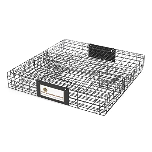 Rugged Ranch Squirrelinator w/ Waste Basin Outdoor Multi-Catch Squirrel Trap - Humane Live Cage Catcher Rodent Control for Barns Garages Sheds Gardens Farms Yards or Lawns