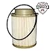 Auto Defender DF401-AD Fuel Filter for 6.7L Turbo Engines (1)