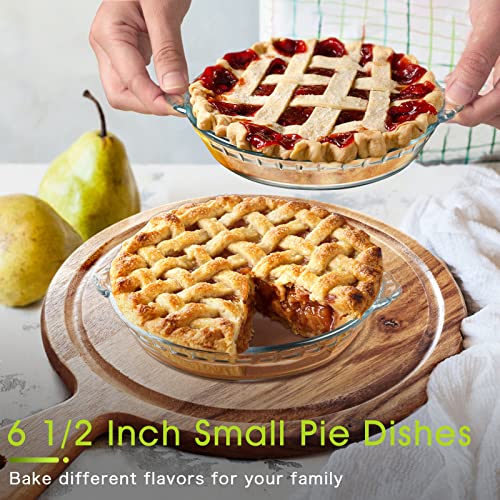 Zyer Glass Pie Plate For Baking Clear Pie Dish For Baking Pie Pan With Handles Glass Pie Dish, 6-12 Inch 2Pack #TOP2