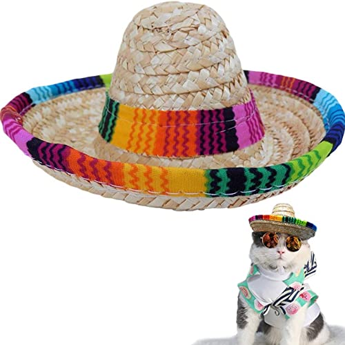 Comparison of Best Mexican Ponchos For Dogs 2023 Reviews