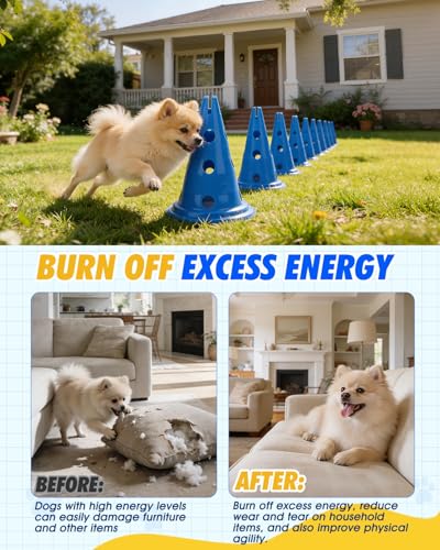 image for Toplamper Dog Agility Hurdle Cone Set, Dog Agility Course Backyard Set