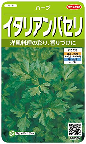 サカタのタネ 実咲ハーブ8070 イタリアンパセリ ハーブ 00928070