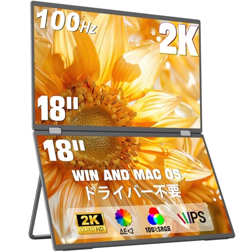 Amazon.co.jp: InnoView デュアル モバイルモニター 18インチ 2K