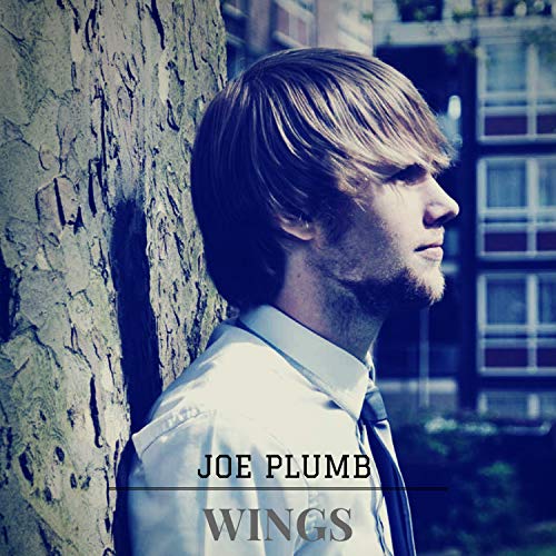 Joe Plumb