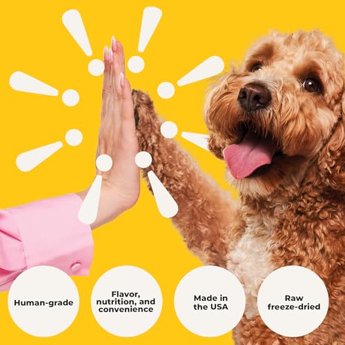 Beef Liver Dog Treats Freeze Dried - Single Ingredient Human Grade Raw Liver Bites for Training, Meal Topper, No Additives - High Protein(31g Per Cup)Training Treats for Dogs, Made in the USA, 4oz Bag