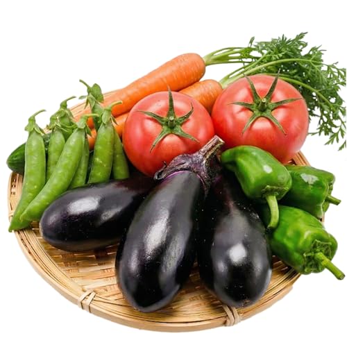 野菜 こだわり農家の採れたて野菜セット/季節 やさい ベジタブル ほうれん草 小松菜 白菜 大根 特産品