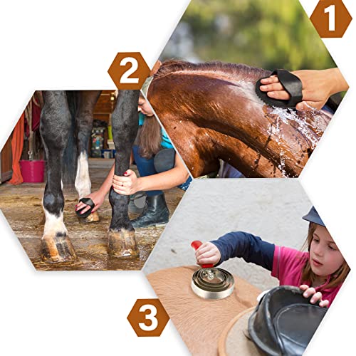 Reversible Stainless Steel Curry Comb with Large Rubber Brush for Grooming Horses, Dogs, Goats, Cattle, Cow, Donkey - Blue - Image 6