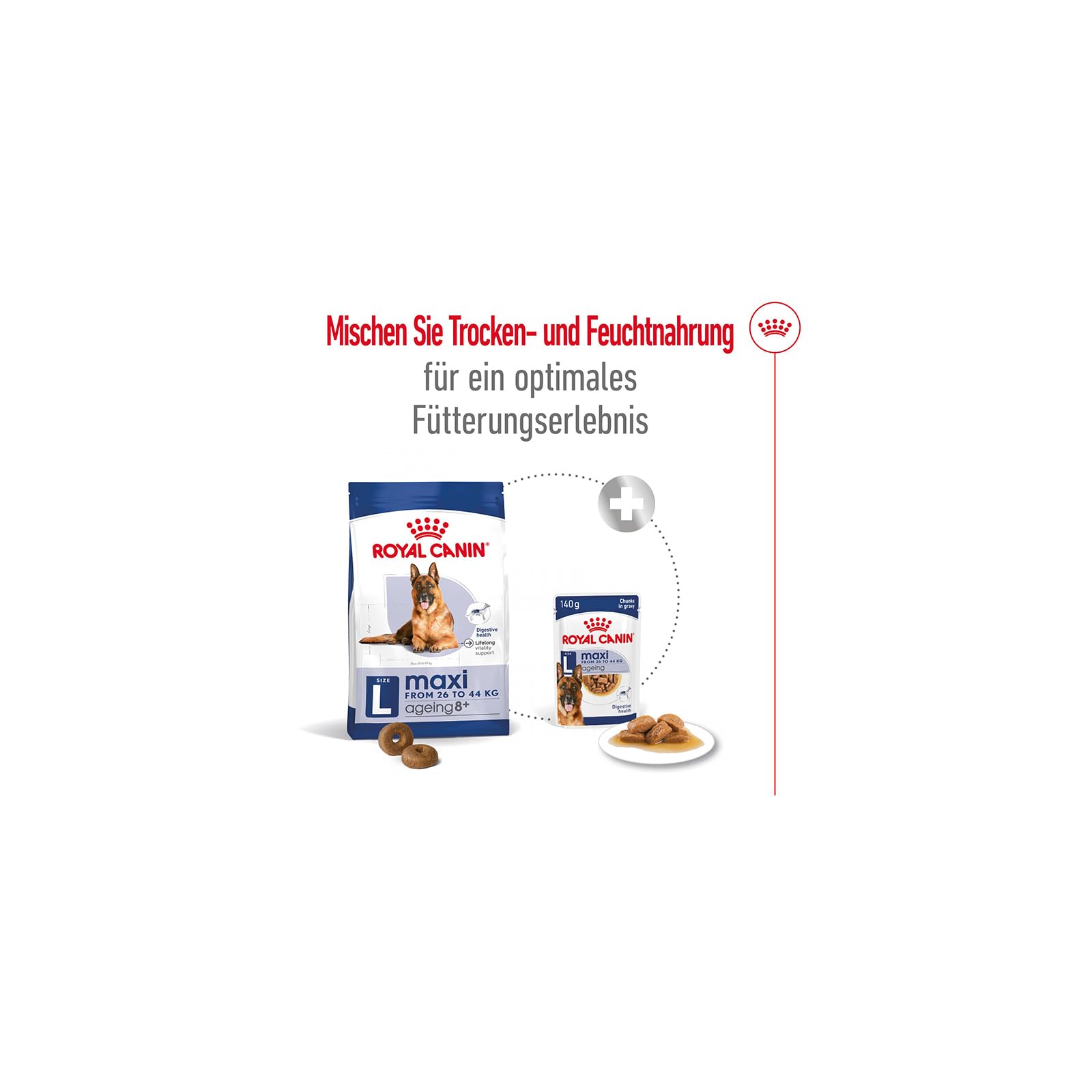 Royal Canin Maxi Ageing 8+ | Pack Double | 2 x 10 x 140 g | Aliment Complet pour Chiens | pour Grands Chiens âgés et Seniors (26 à 44 kg) | À partir de 5 Ans