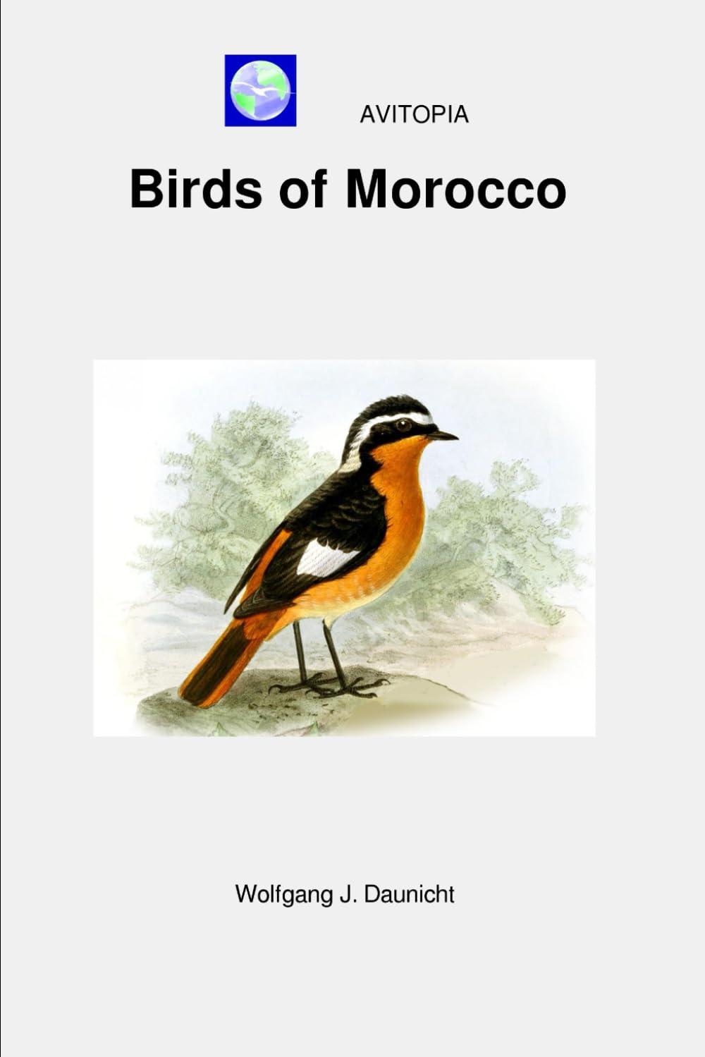AVITOPIA - Birds of Morocco