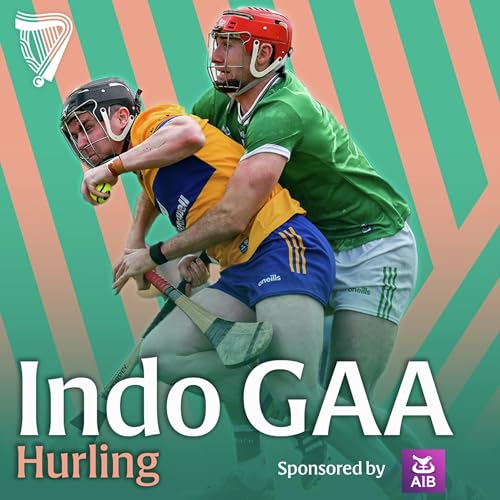 Limerick&rsquo;s green machine purrs in Ennis | The future for Fitz | Tweets & Emails ✉️