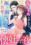 懐妊一夜~赤ちゃんを宿したら極上御曹司の盲愛が止まりません~ (マカロン文庫)