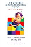THE SHORTEST SHORT INTRODUCTION TO THE NEW TESTAMENT: How Many Squares Do You See?