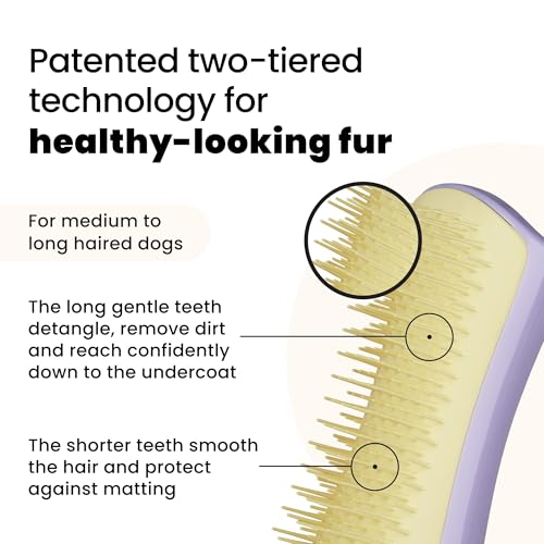 Tangle Teezer Pet Teezer Entwirrungsbürste für kleine Hunde – Hundebürste für Trocken- oder Badegebrauch – Die perfekte Bürste für Hunde – Lila & Gelb