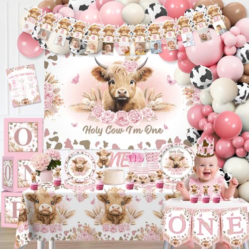 Image of cocomigo 254pcs Holy Cow I'm One Birthday Decorations Party Set, 20 Guests