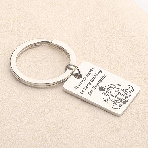 It Never Hurts to Keep Looking for Sunshine Bracelet Donkey Quote Bracelet Inspiration Gift (Keychain)