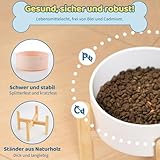 Hundenapf Keramik Futternapf Hund Erhöht - Hundefressnapf mit Rutschfestem Holzständer - Ideal für Kleine und Mittelgroße Hunde - 800 ml - Weiß