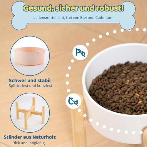 Hundenapf Keramik Futternapf Hund Erhöht - Hundefressnapf mit Rutschfestem Holzständer - Ideal für Kleine und Mittelgroße Hunde - 800 ml - Weiß
